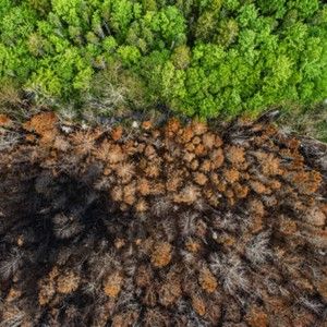 Meet your Posher, Alan